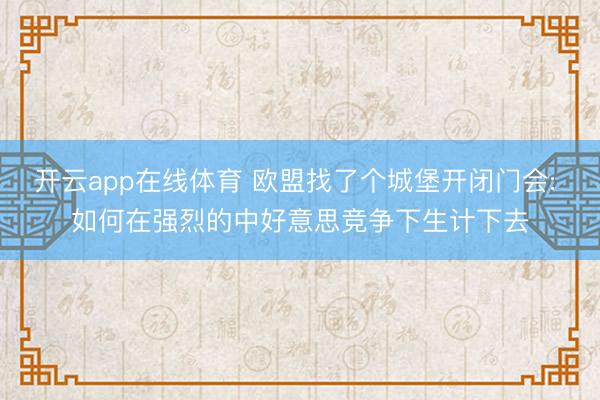 开云app在线体育 欧盟找了个城堡开闭门会: 如何在强烈的中好意思竞争下生计下去